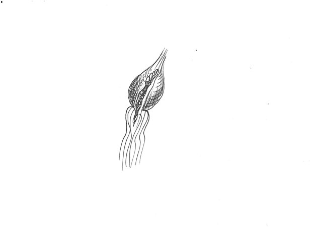 Archive work A0100