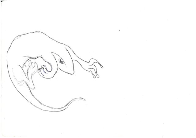 Archive work A0103