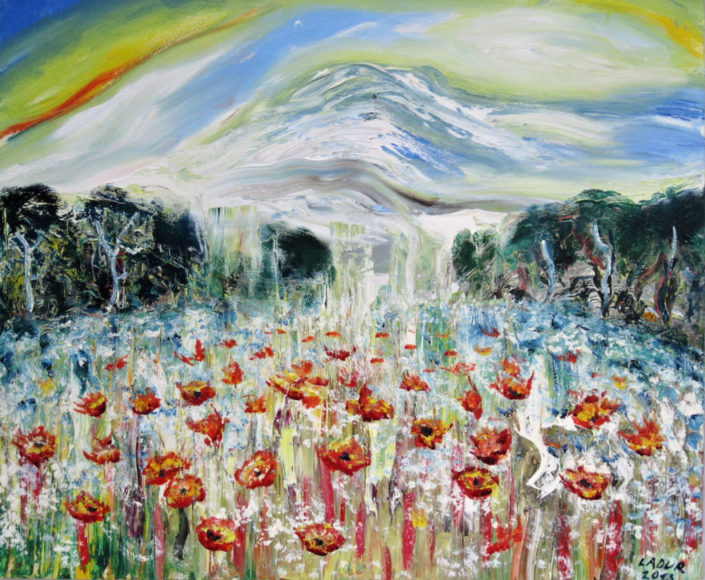 Makové pole olej plátno 50x60cm 2013